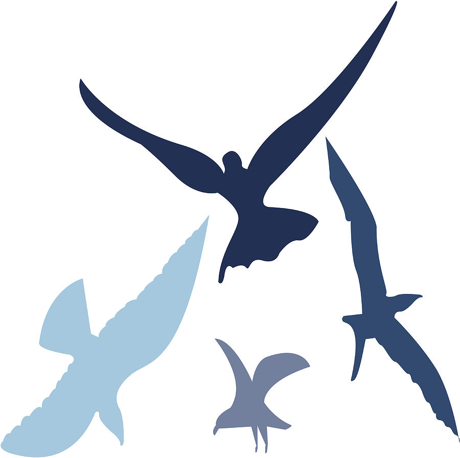 Birds in Flight - Vector Drawing by Morgan270