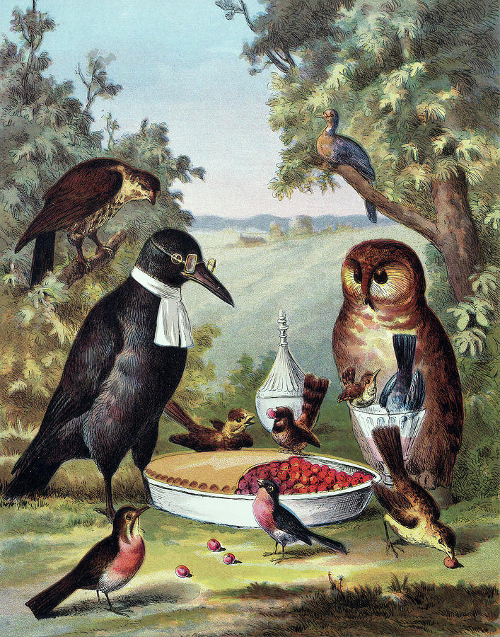 Birds in Picnic Painting by Long Shot