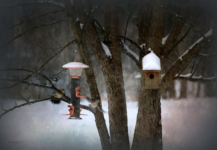 Birds in Snow Digital Art by Joanna Kovalcsik