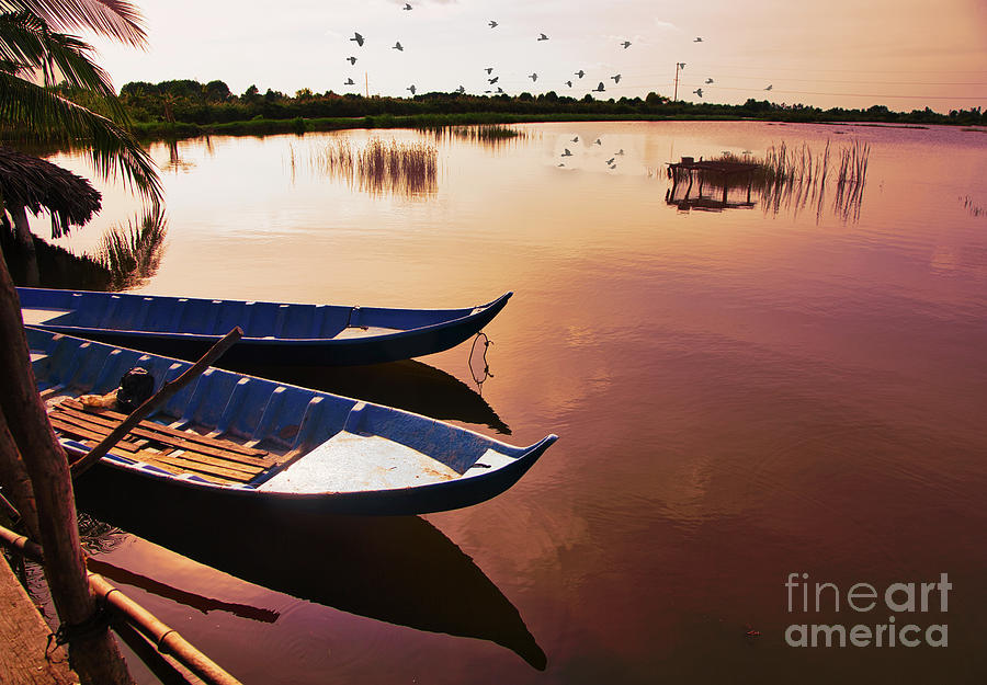Birds Lake Boats Peaceful Vietnam Color  Photograph by Chuck Kuhn