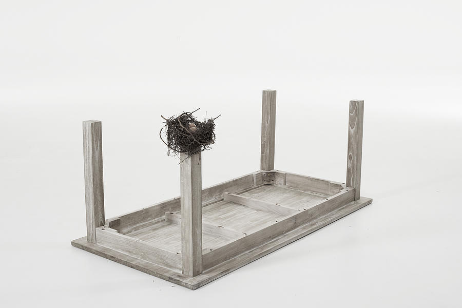 Birds nest on leg of table set upside down against white background Photograph by Knowlesie
