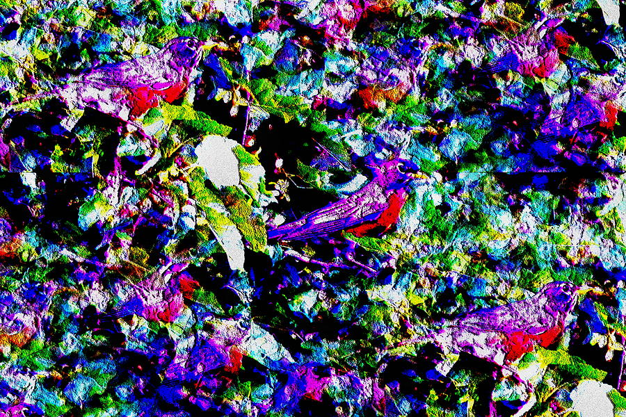 Birds of a Feather Digital Art by Cliff Wilson