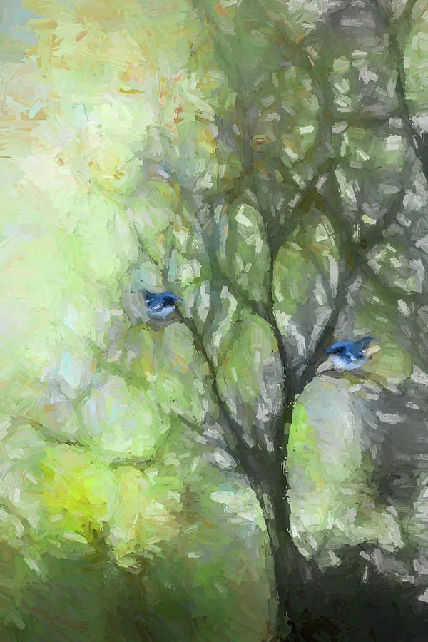 Birds of Blue Photograph by Deborah Penland