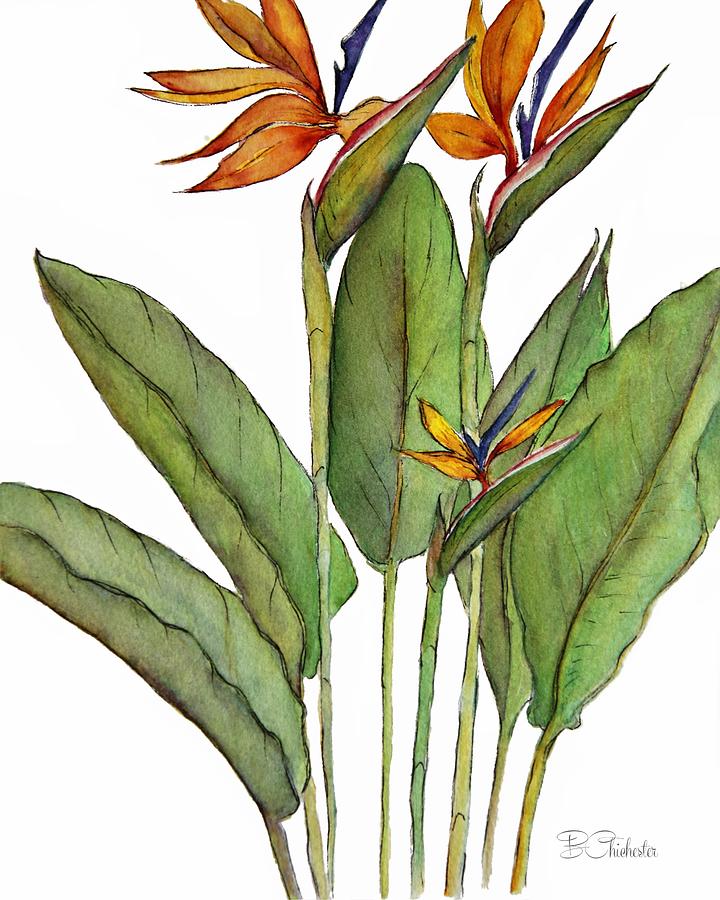 Birds of Paradise Cluster Painting by Barbara Chichester
