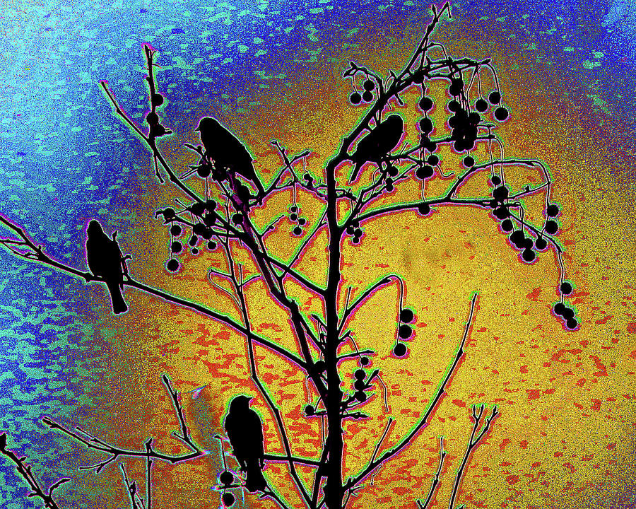 Birds On Branches Solar Photograph by Andrew Lawrence