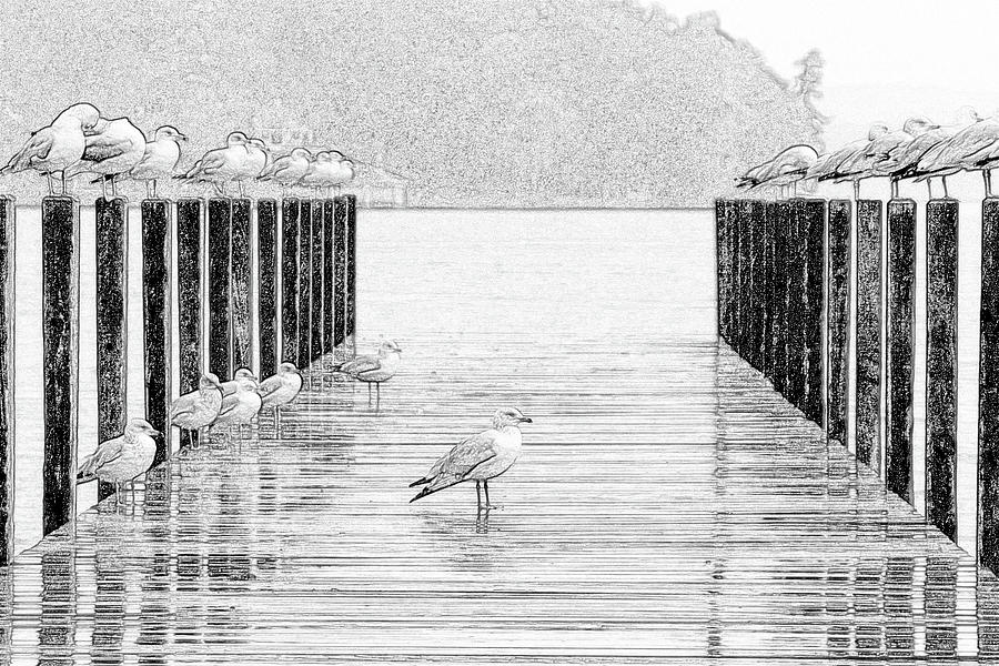 Birds On Dock Digital Art