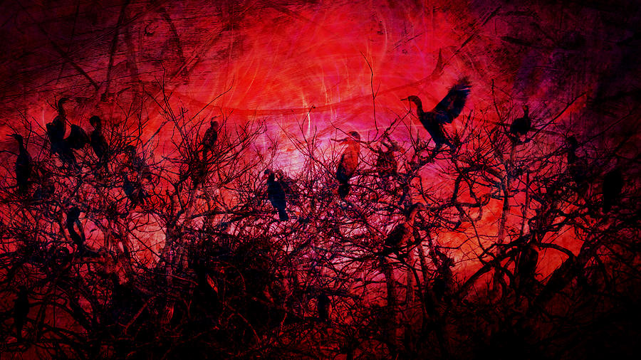 Birds on fire Photograph by Rudy Umans
