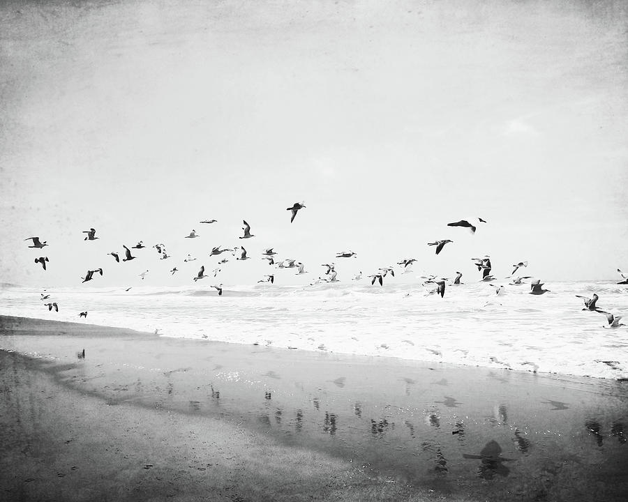 Birds Reflected Photograph by Lupen Grainne
