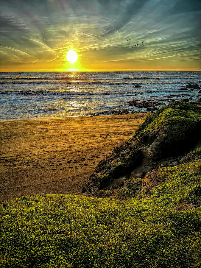 Birds Sunset and Footsteps Moonstone Beach Cambria Photograph by Floyd Snyder