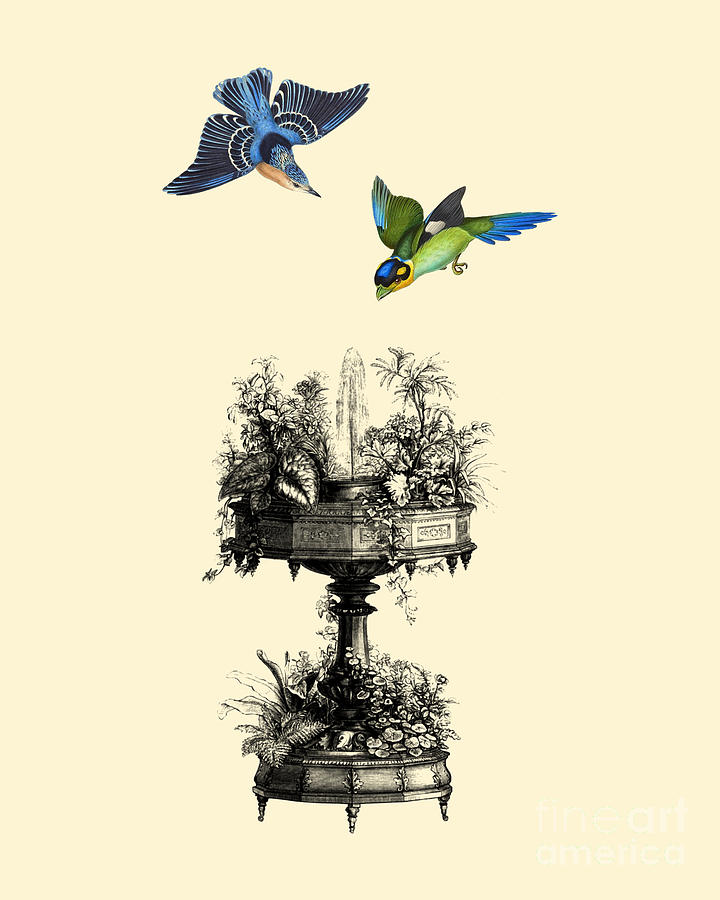 Bird Digital Art - Birds With Water Fountain by Madame Memento