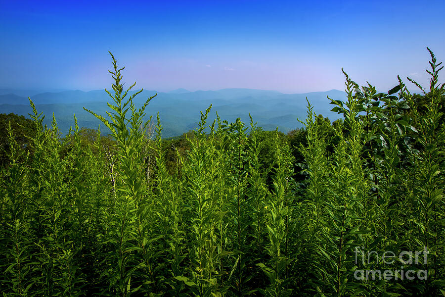 Birdseye view of Blue Ridge Mountains Photograph by Shelia Hunt