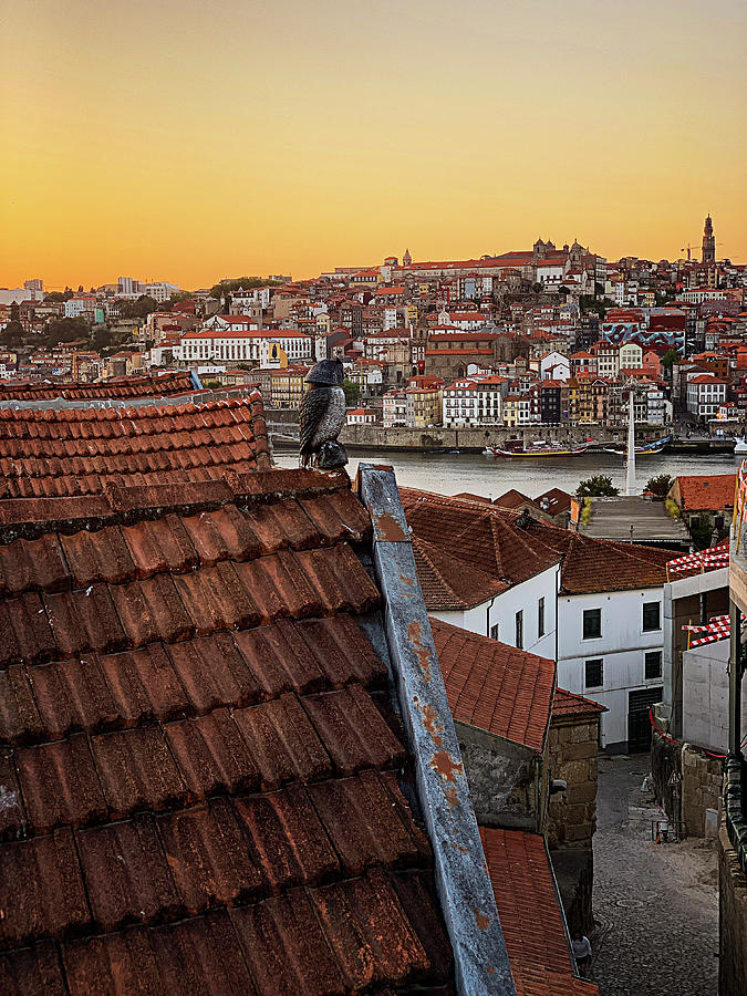 Sunset Photograph - Birdseye View of Porto by Jill Love