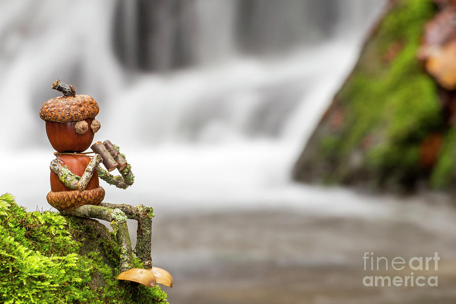 Birdwatcher and Waterfall Photograph by Arterra Picture Library