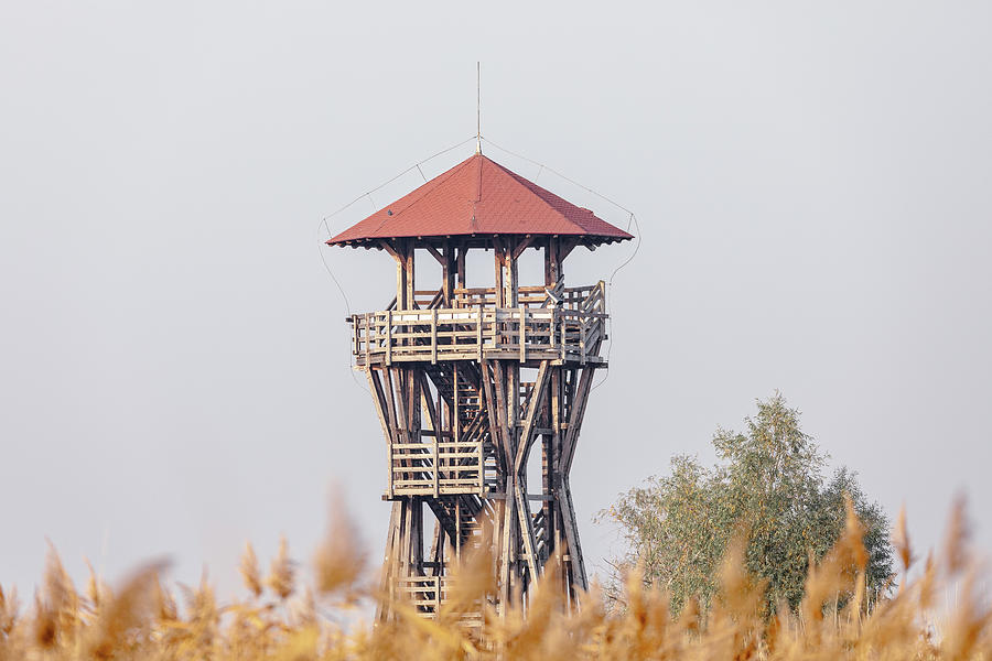 Bird watching tower