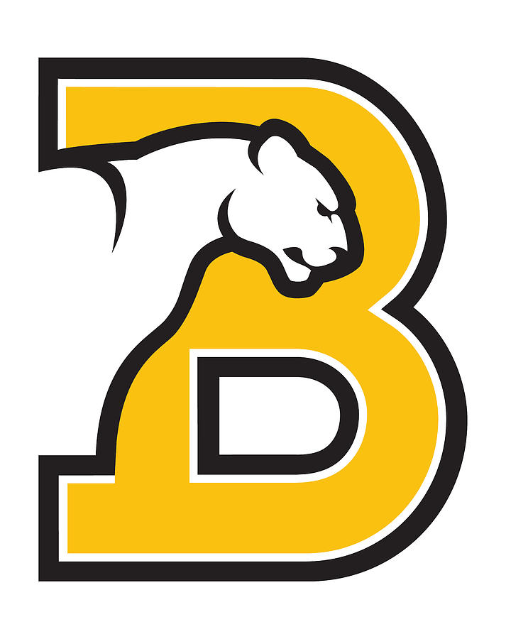 Birmingham Southern College Panthers Digital Art By Marland Marlande ...