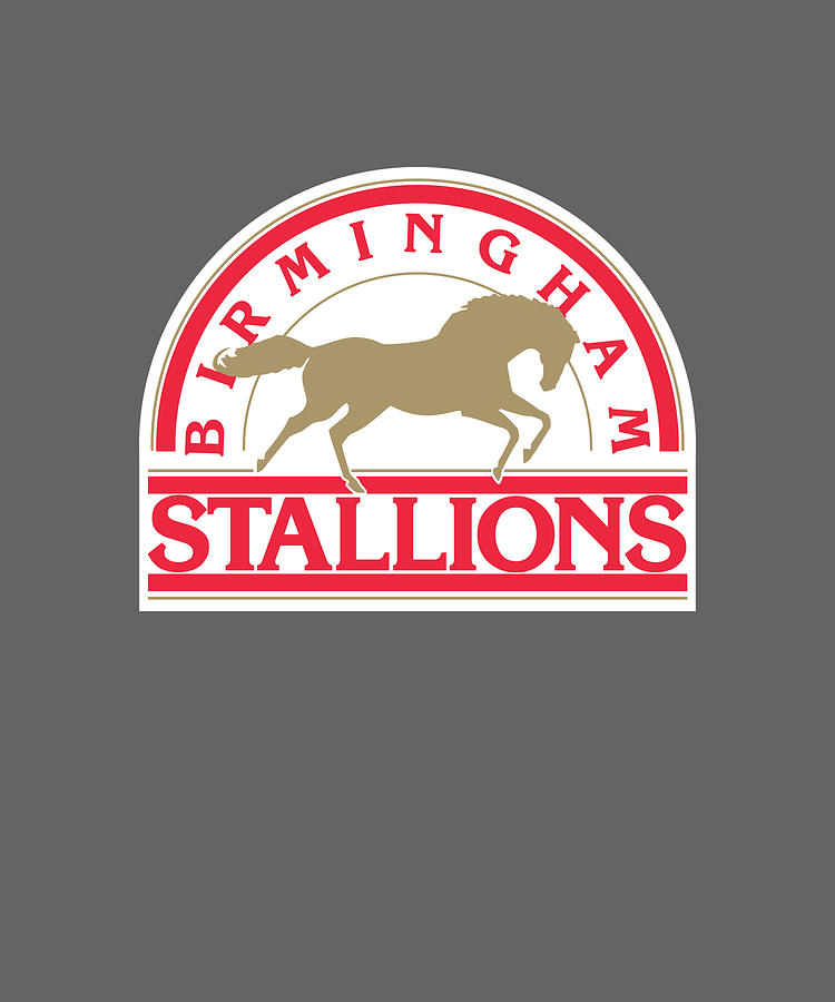 Birmingham Stallions Retro Logo Throwback gift Painting by Ellie Green ...