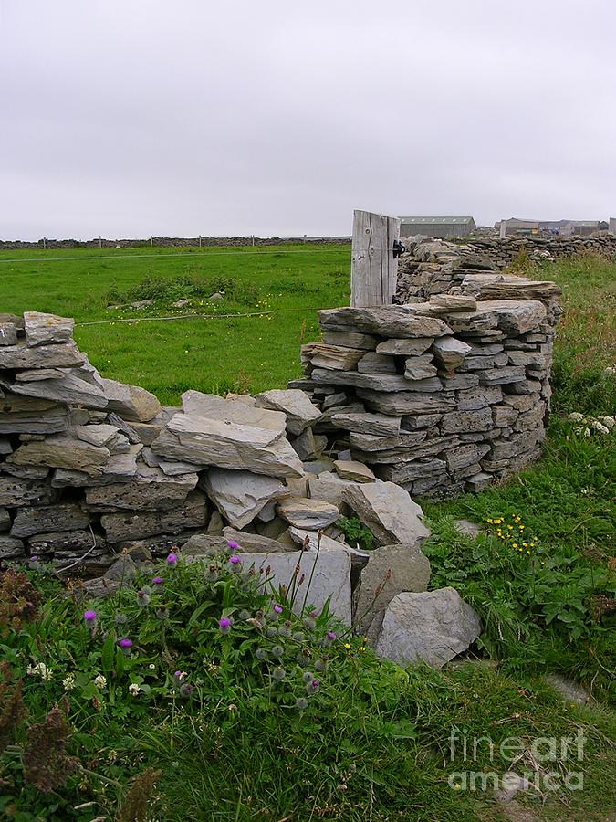 Birsay Wall - Mainland Orkney Photograph by Lesley Evered
