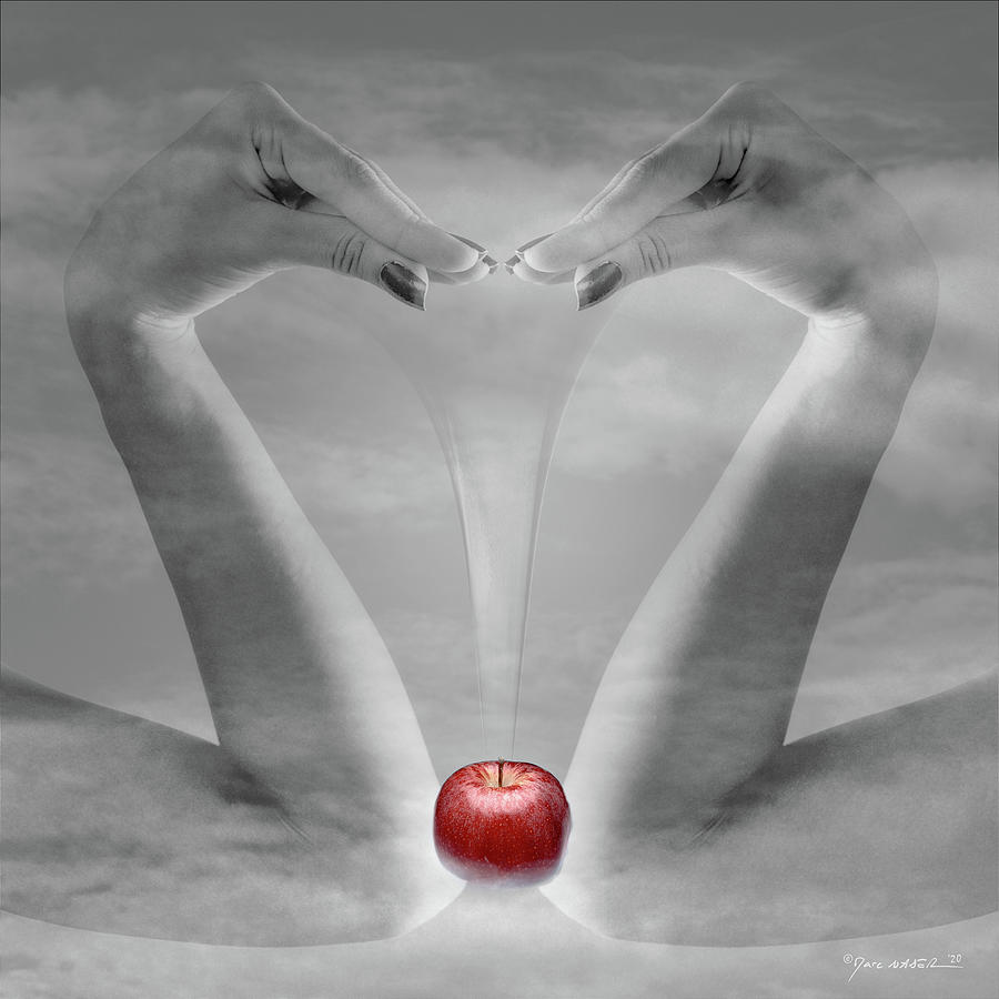 Birth Of The Apple Photograph by Marc Nader