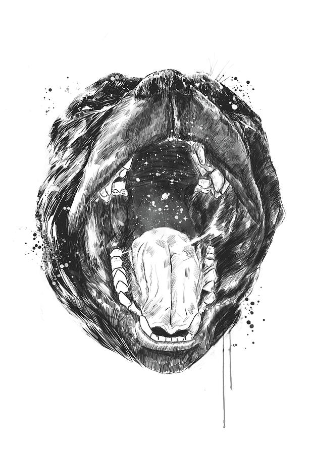 Animal Drawing - Birth of the universe by Balazs Solti