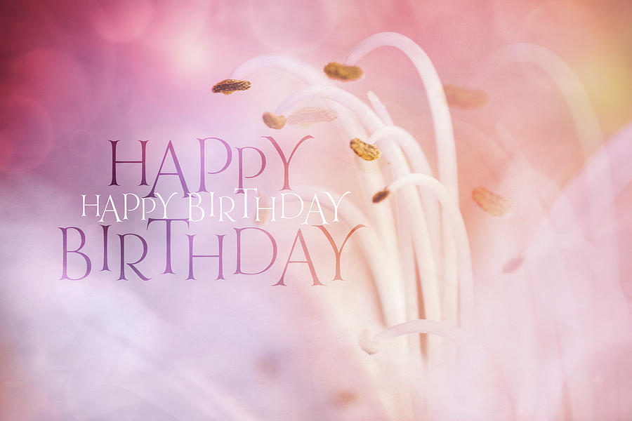 Birthday Wishes Digital Art by Terry Davis