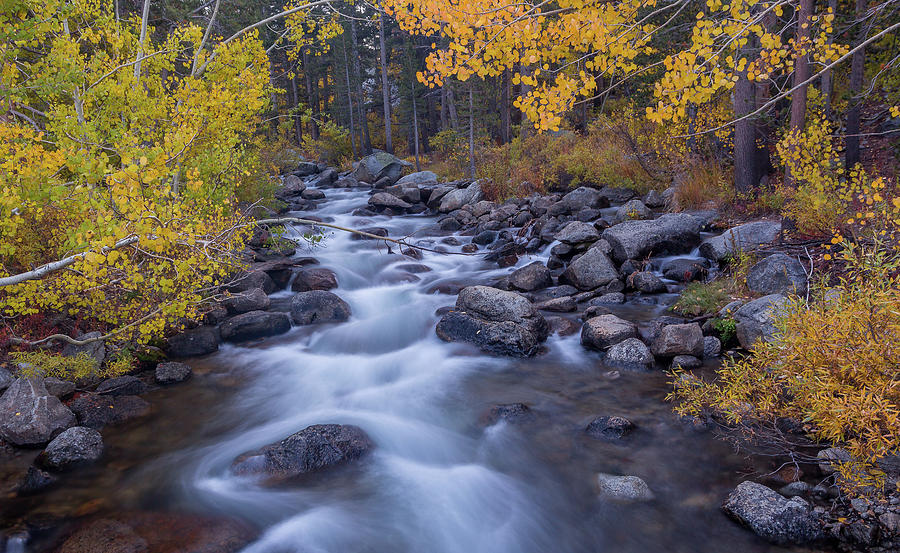 Bishop Creek 2 Photograph By Nick Borelli - Fine Art America