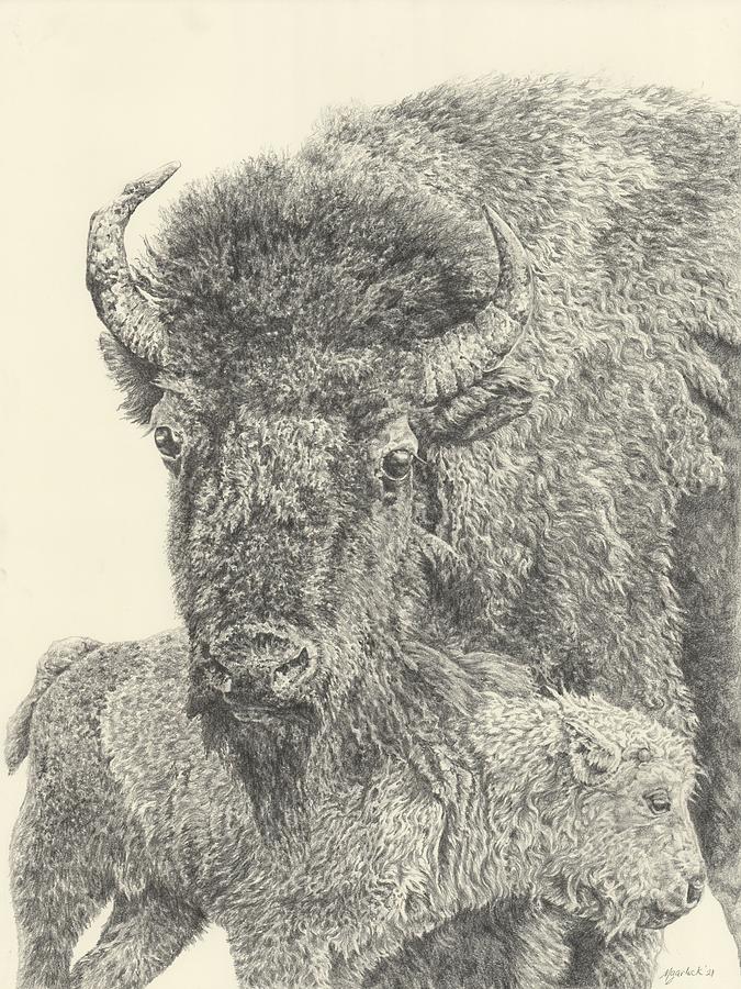 Bison and Calf Drawing by Michelle Garlock