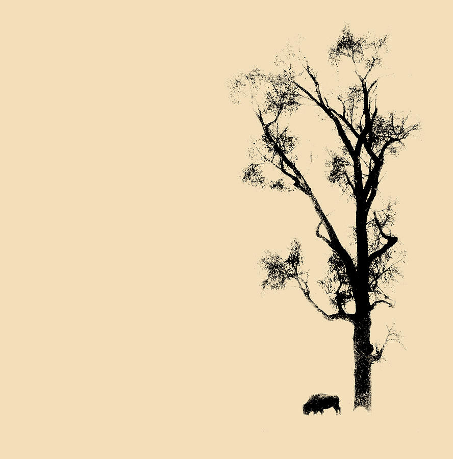 Bison and Tree Shirt Design Photograph by Max Waugh
