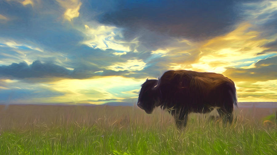 Bison At The Tall Grass Prairie Preserve Mixed Media by Ann Powell
