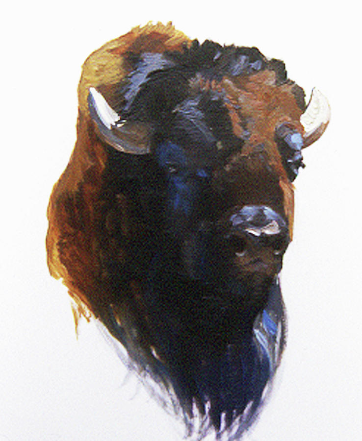 Bison Painting by Elizabeth - Betty Jean Billups