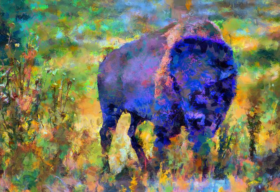 Bison Buffalo dp Digital Art by National Parks Service