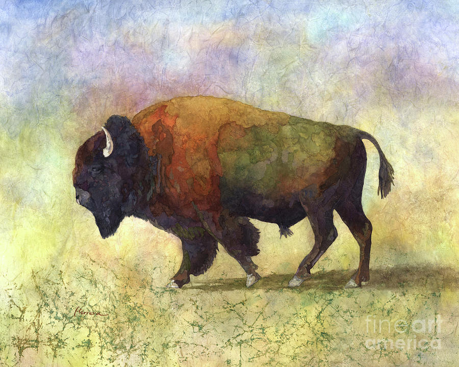 Bison Bull Painting by Hailey E Herrera