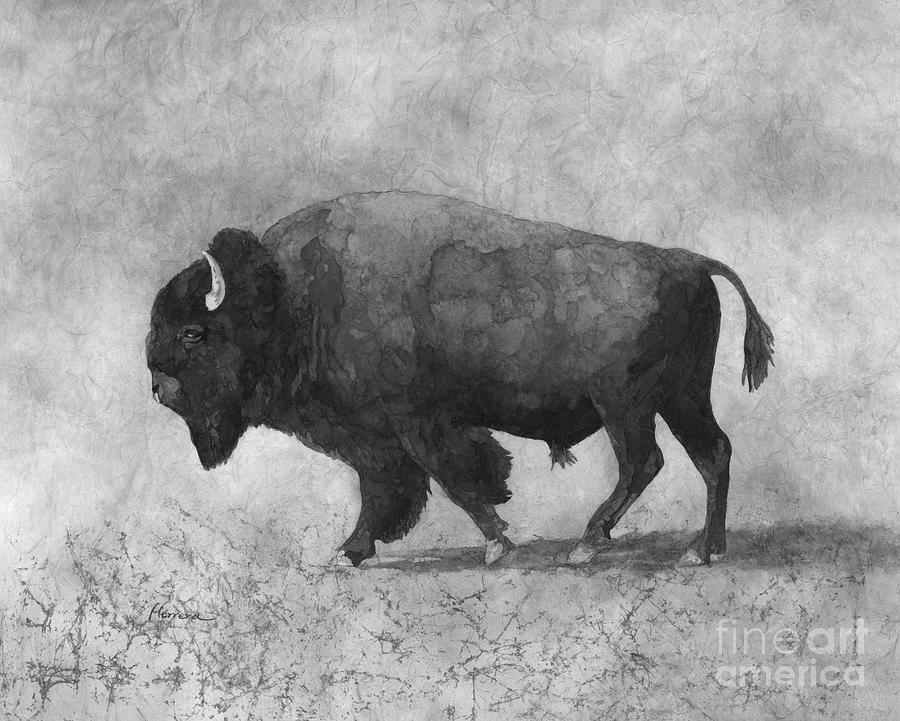 Bison Bull In Black And White Painting