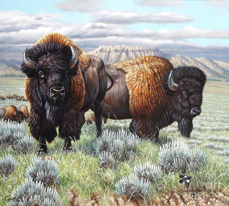 Bison Finish Painting by Cynthie Fisher