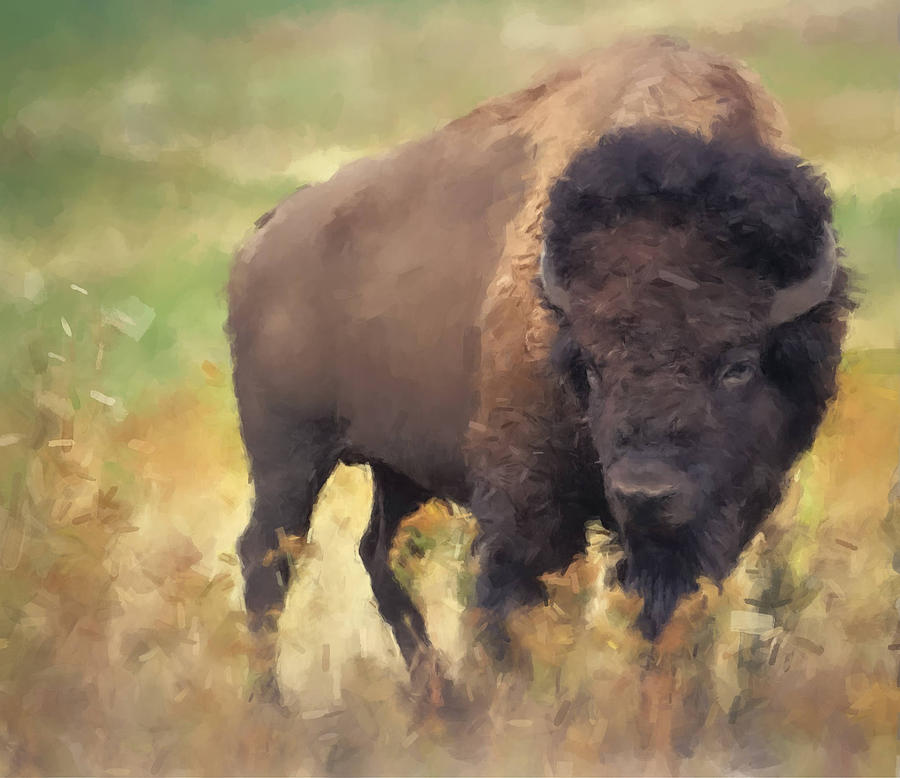 Bison Painting by Gary Arnold