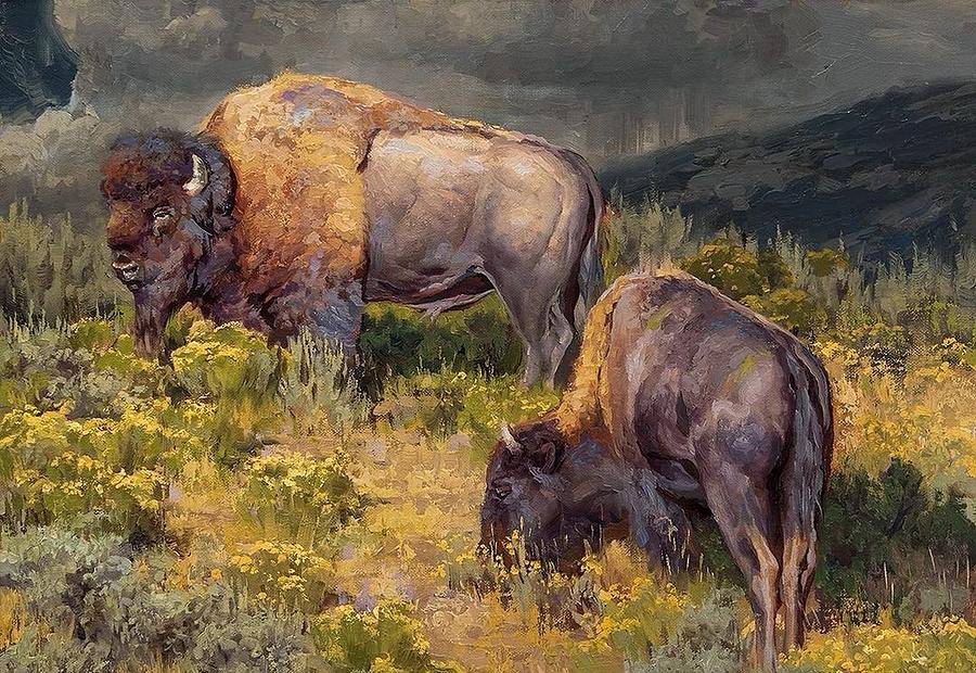 Bison Drawing by Gina Sharp - Fine Art America