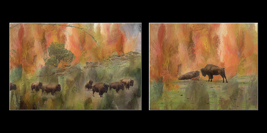 Bison Herd Diptych Photograph by James BO Insogna