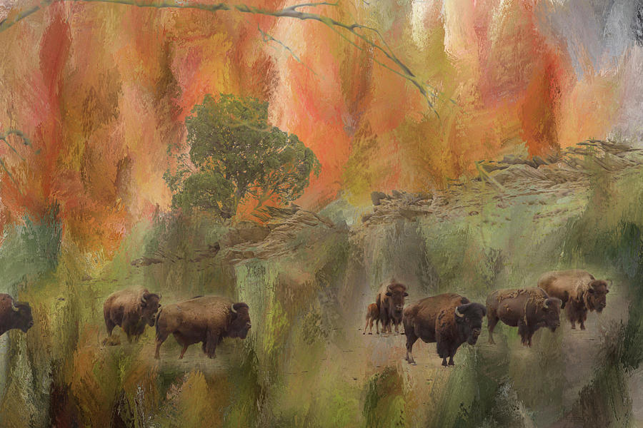 Bison Herd Watching Photograph by James BO Insogna