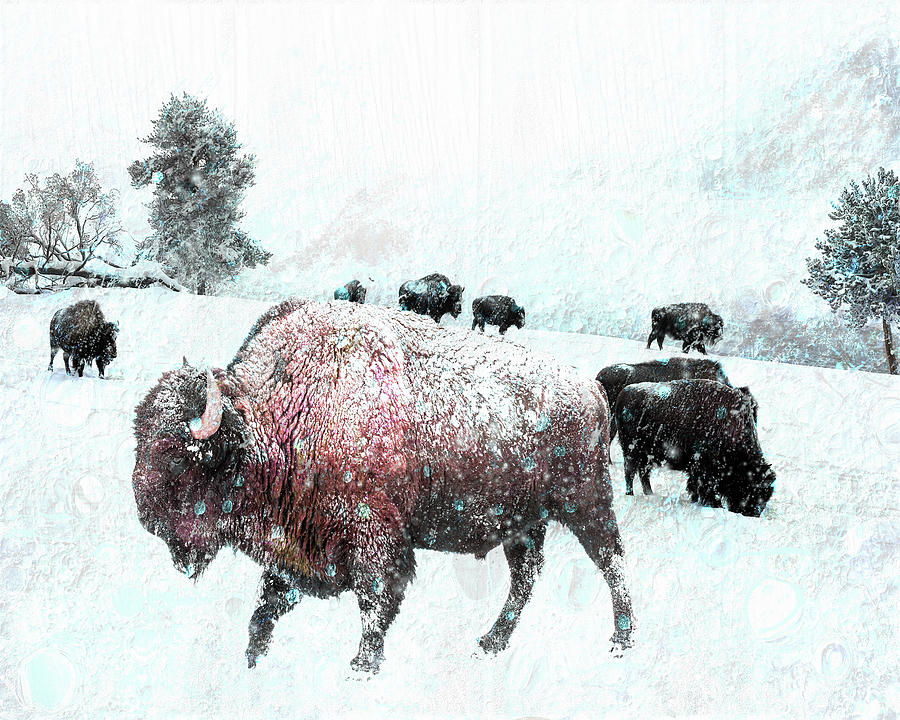 Bison in a Blizzard Digital Art by Sandra Selle Rodriguez