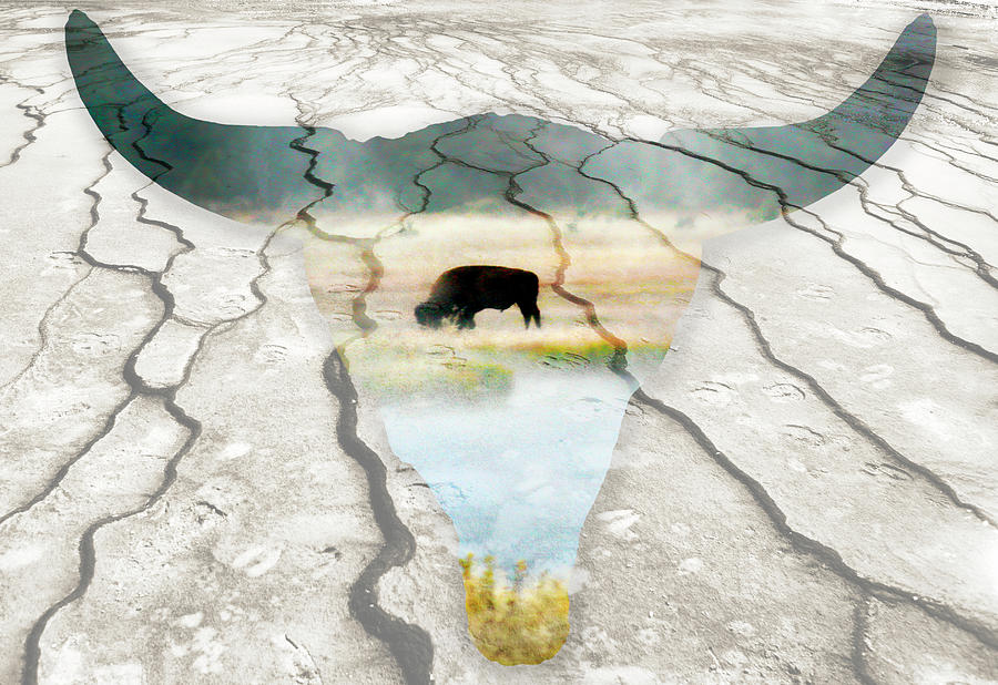 Yellowstone National Park Digital Art - Bison in Global Warming by Marilyn Hunt