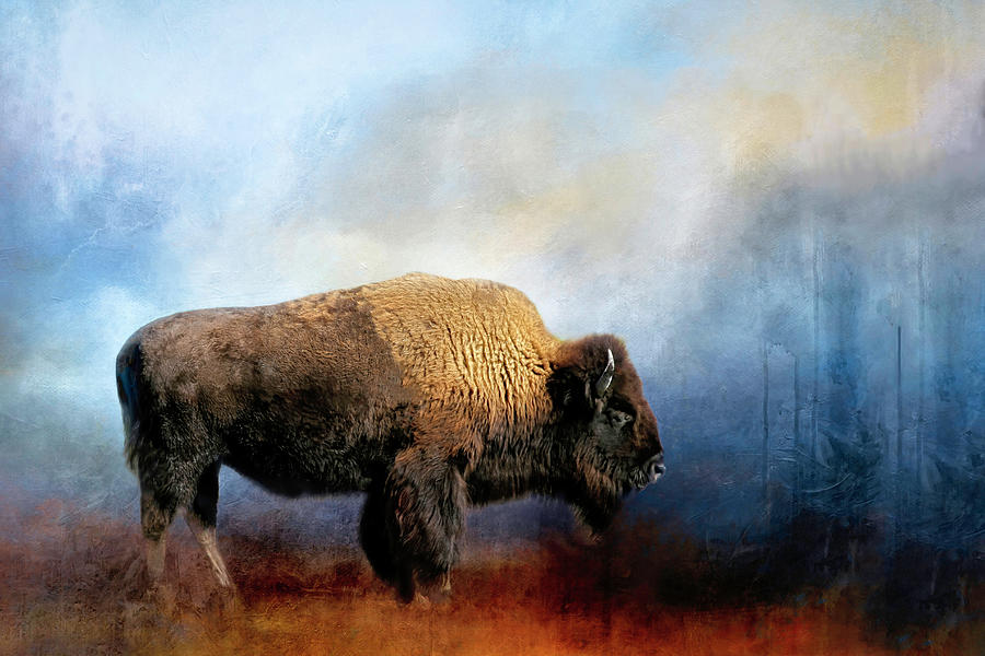 Yellowstone National Park Photograph - Bison in the Autumn Mist by Donna Kennedy
