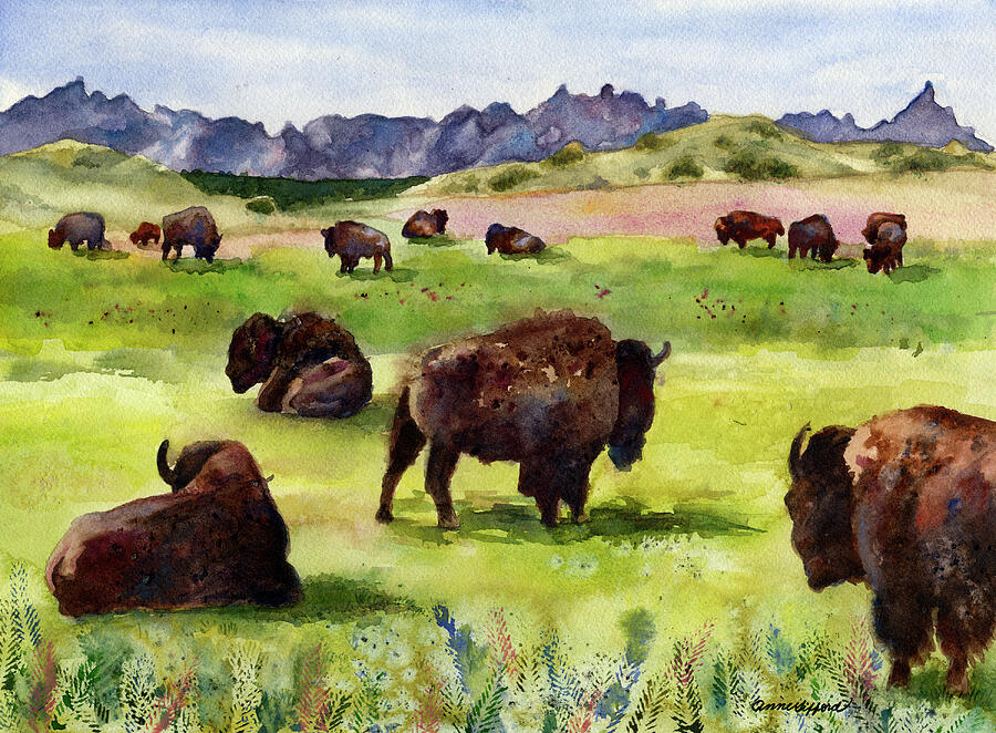 Bison in the Badlands Painting by Anne Gifford