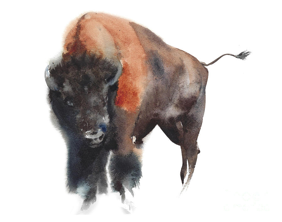 Bison portrait watercolor Painting by Yulia Shevchenko - Fine Art America