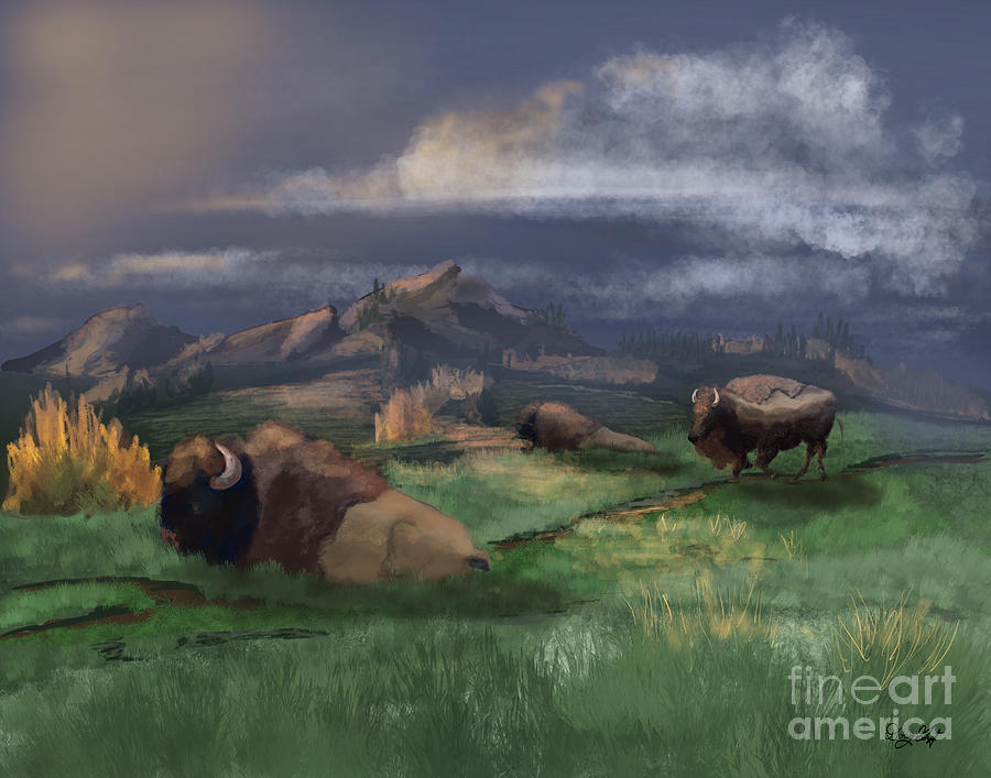 Bison Rest Digital Art by Doug Gist