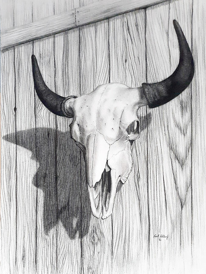 Bison Skull Drawing by Kurt Holdorf