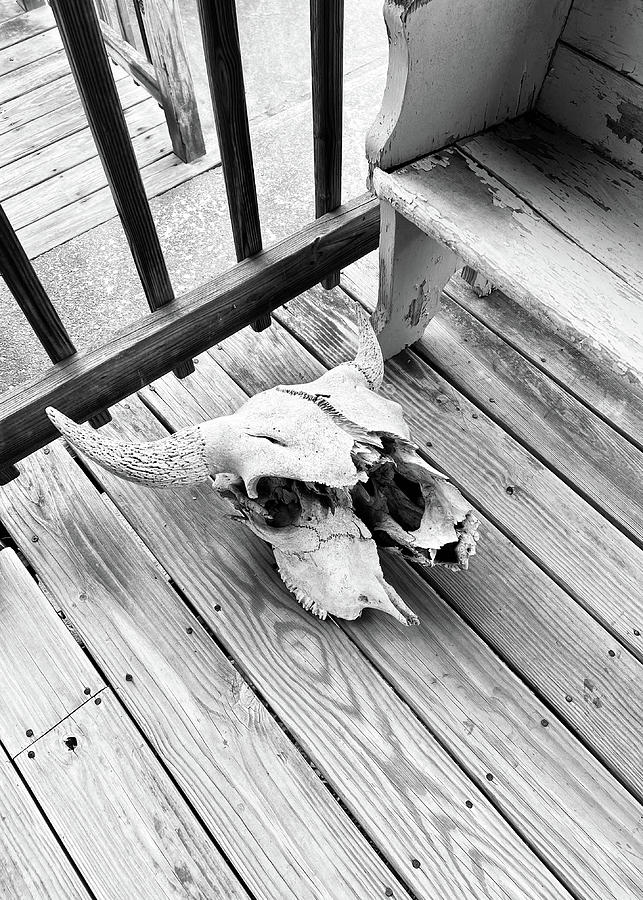 Bison Skull on Porch Black and white Vertical Photograph by Photographic Arts And Design Studio