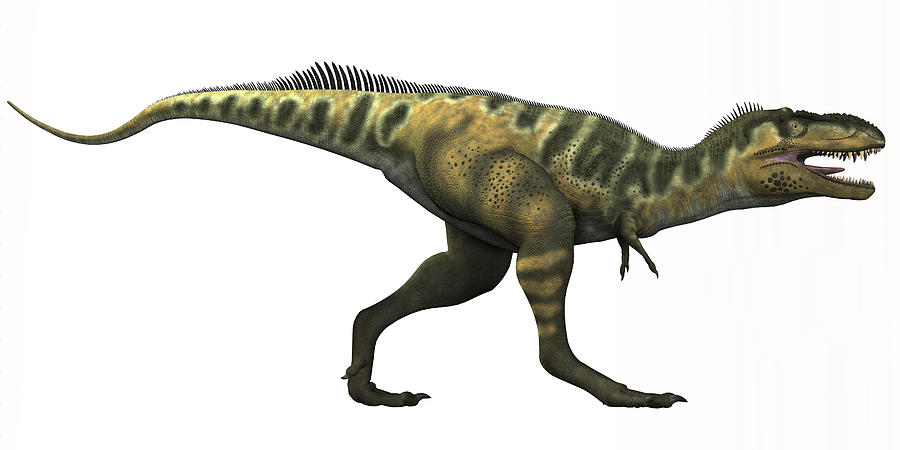 Bistahieversor is a genus of tyrannosauroid dinosaur that lived in New Mexico during the Cretaceous Period. Drawing by Corey Ford/Stocktrek Images