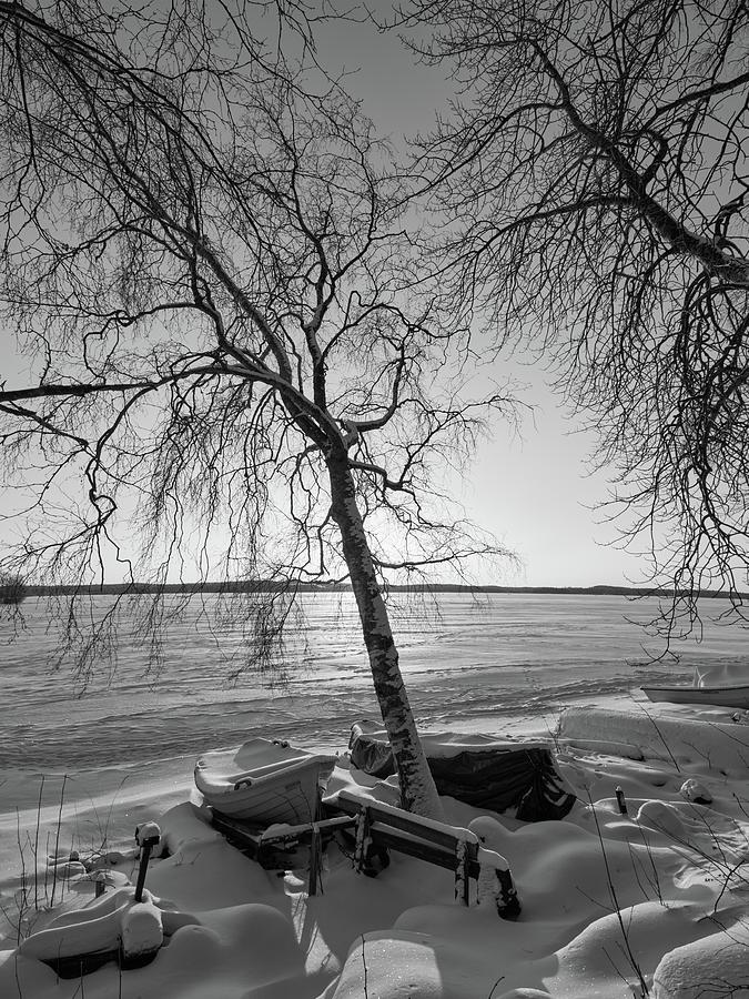 Birches and boats. Last morning of 2023  number 19 bw Photograph by Jouko Lehto