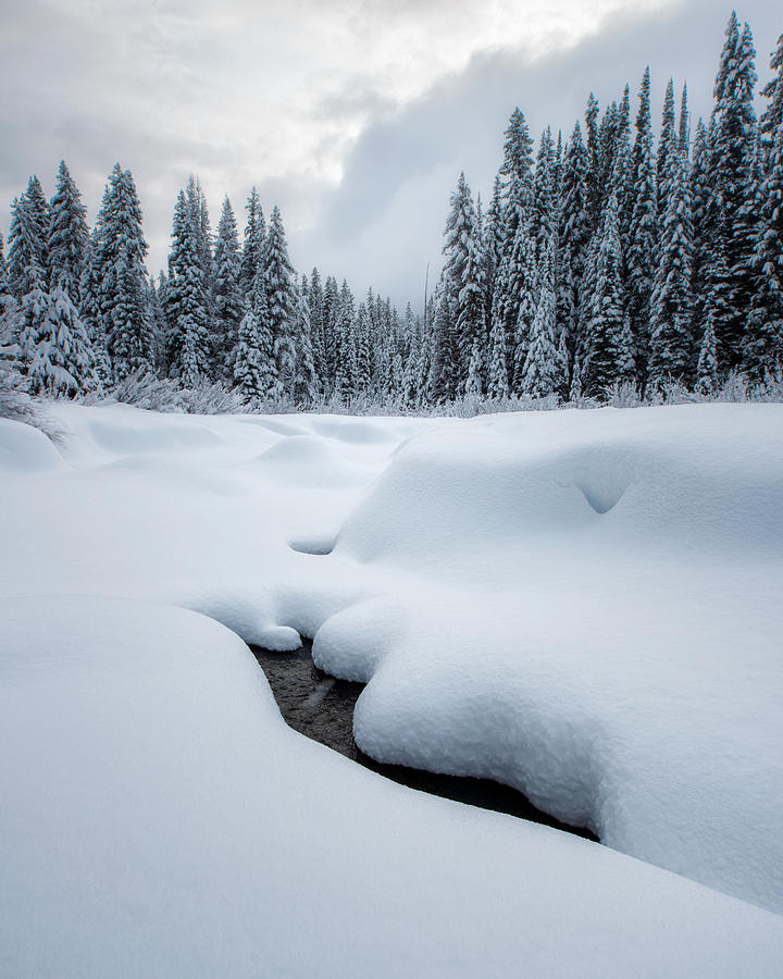 Bitterroot Creek in Winter Photograph by Matt Hammerstein