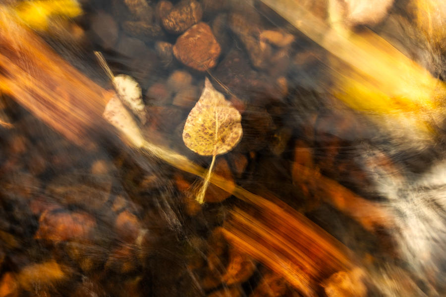Bitterroot River Fall Abstract Photograph by Matt Hammerstein