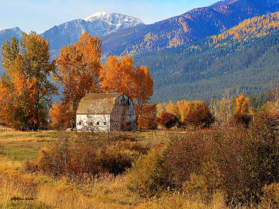 Old Barn in Bitterroot Valley, Montana Photograph by Stephanie Salter